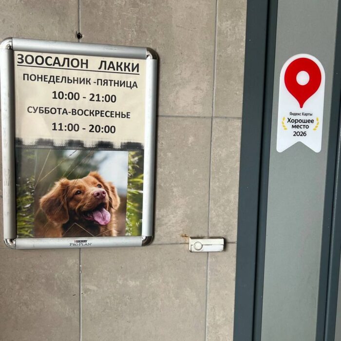 Горы помощи для «9 Жизней»❤️🐾🙌